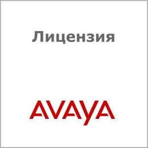 AVAYA    1- AVAYA IP  (H.323/SIP  DECT)  383110